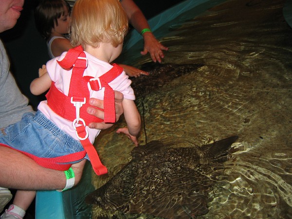 first family vacation-june 068.jpg